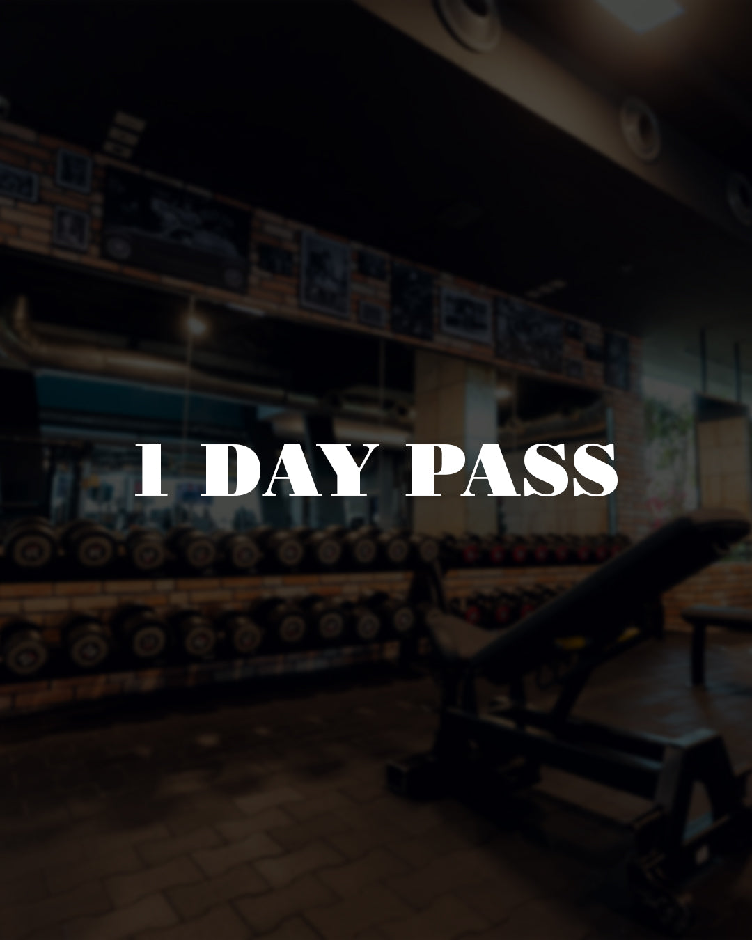 1 Day Pass