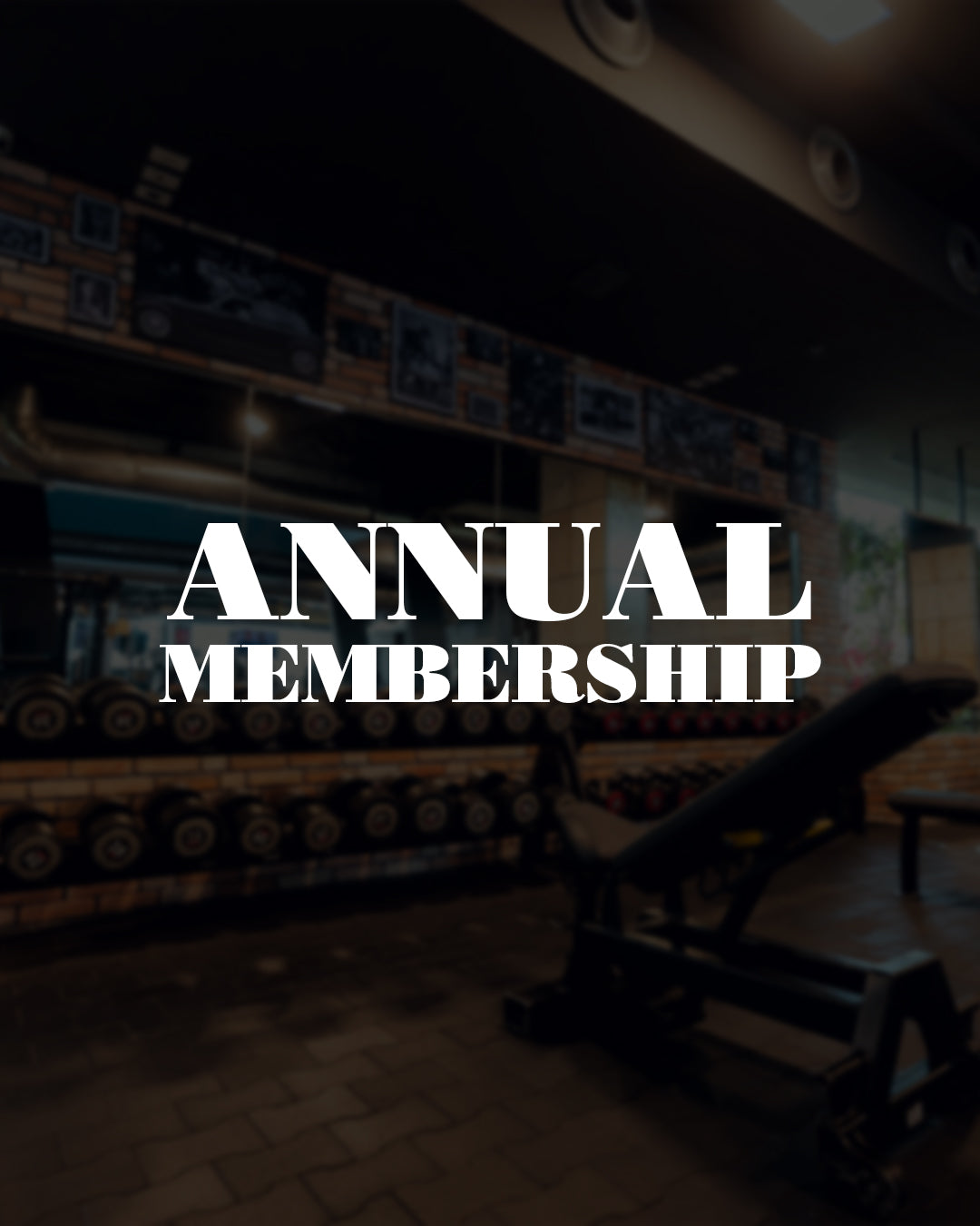 Annual Membership