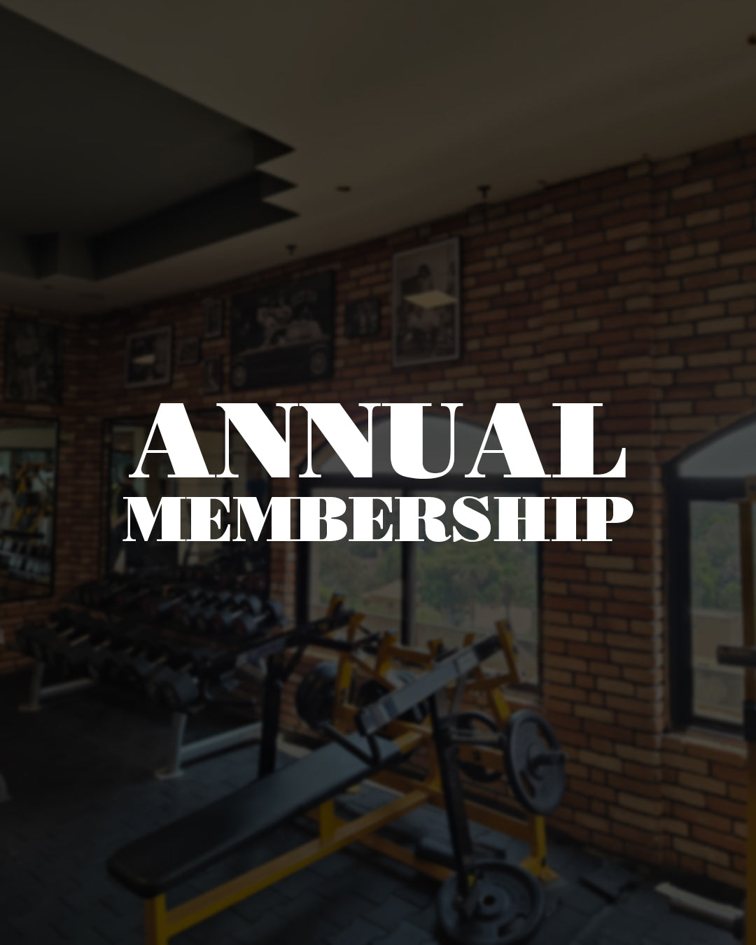 annual membership - Maadi Road 9