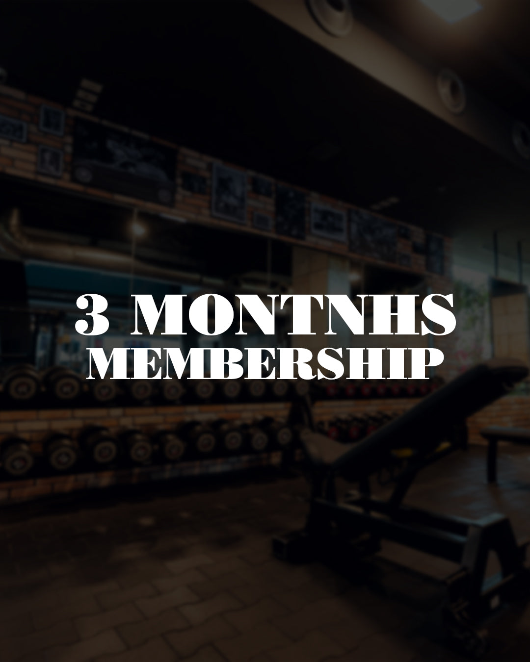 3 Months Membership
