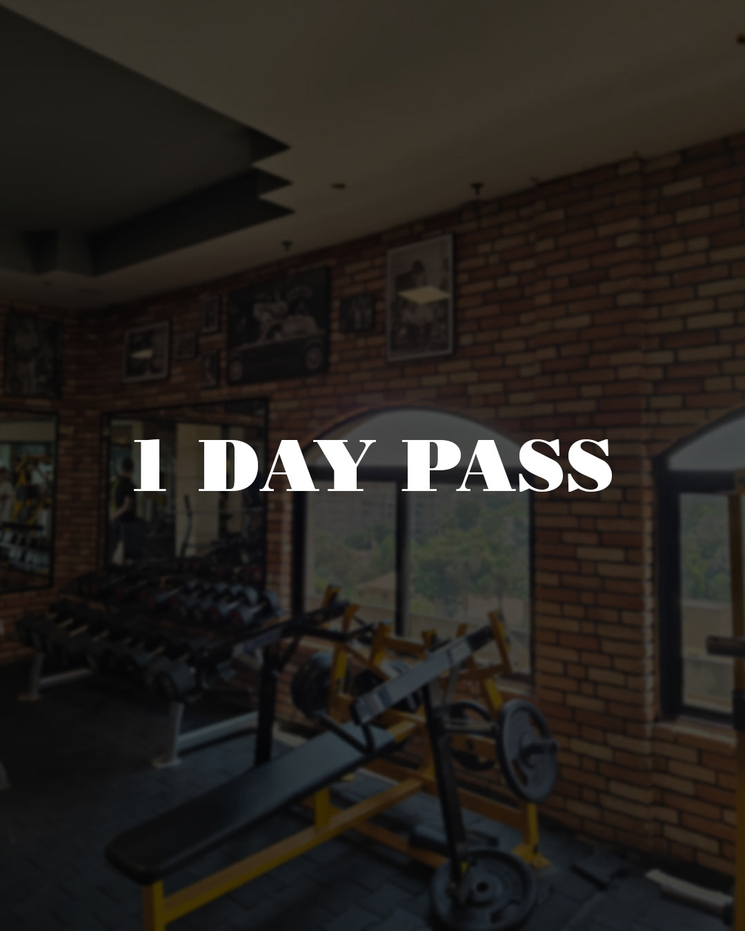 1 day pass - Maadi Road 9